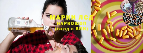 индика Кукмор