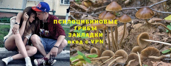 индика Кукмор