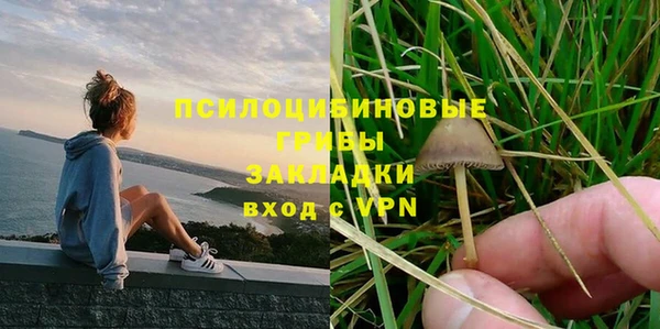 индика Кукмор