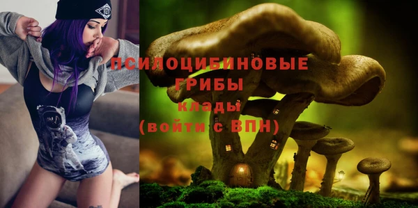 МДПВ Куйбышев