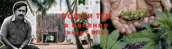 индика Кукмор