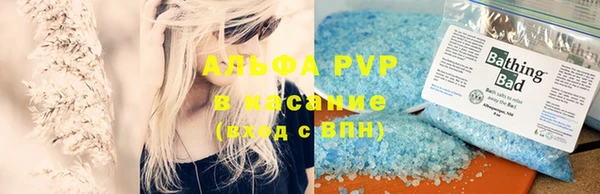 индика Кукмор