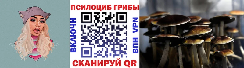 Галлюциногенные грибы мицелий Пойковский